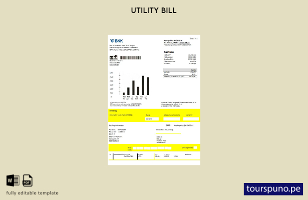 lista para imprimir la plantilla de factura de servicios públicos de electrici 3